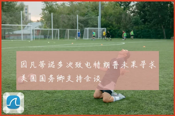 因凡蒂诺多次致电特朗普未果寻求美国国务卿支持会谈